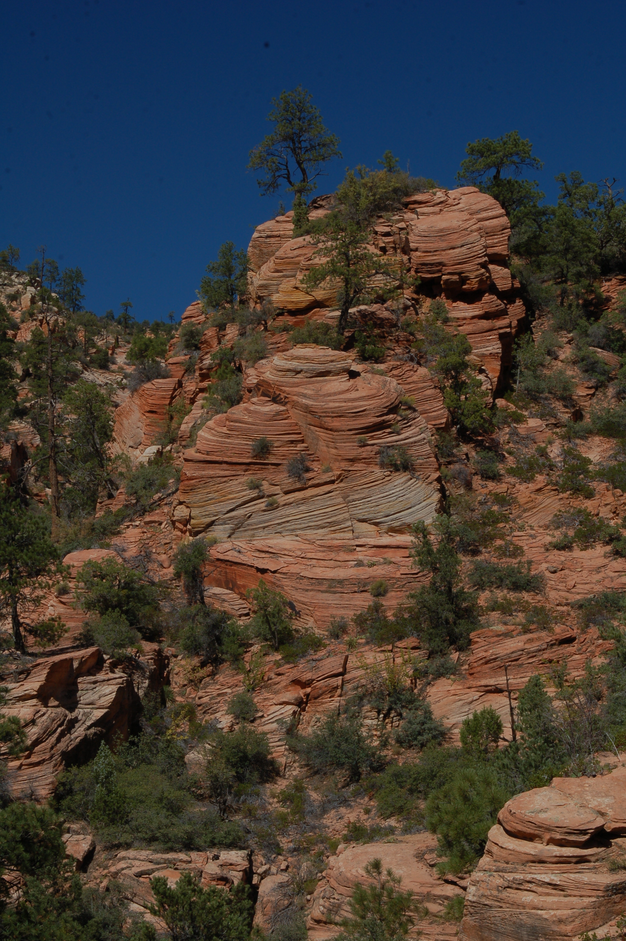 Zion NP